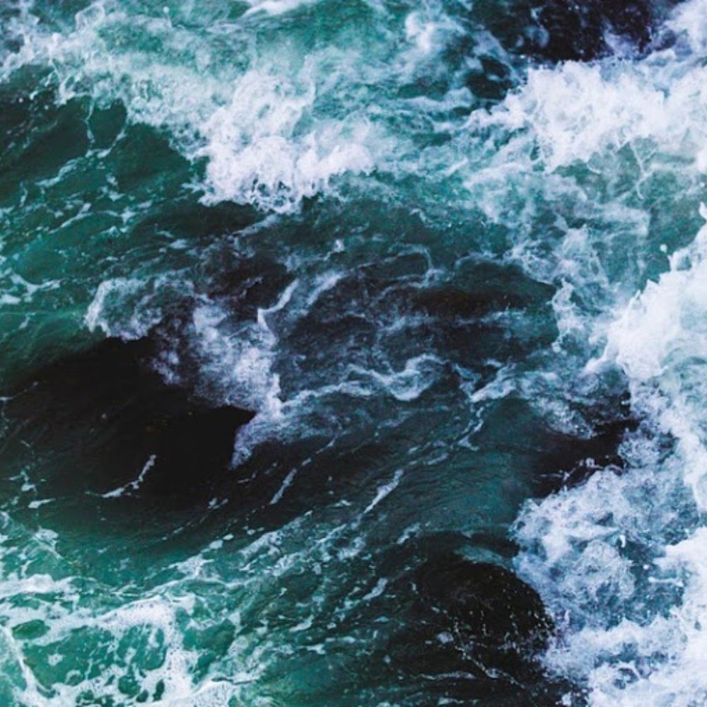 Meet your Posher, Stella